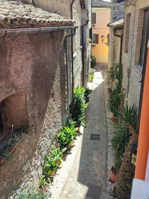 Pink House Apartment Fara in Sabina Exterior foto